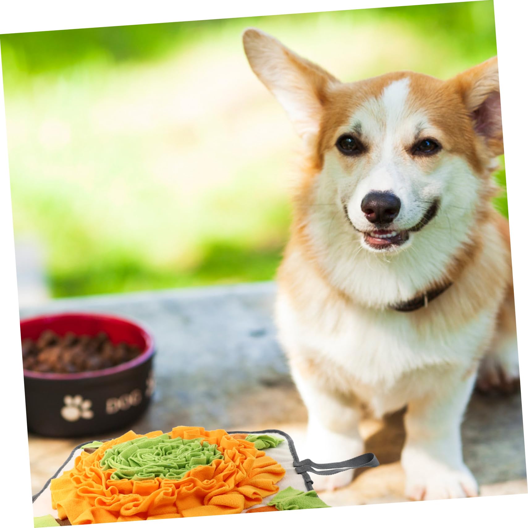 Hundesnuffle Matte zum Verstecken von Futter Langsam Fressende Waschbare Futtermatte für Hunde Stressreduzierendes Beschäftigungsspielzeug für Zuhause Fördert Training und