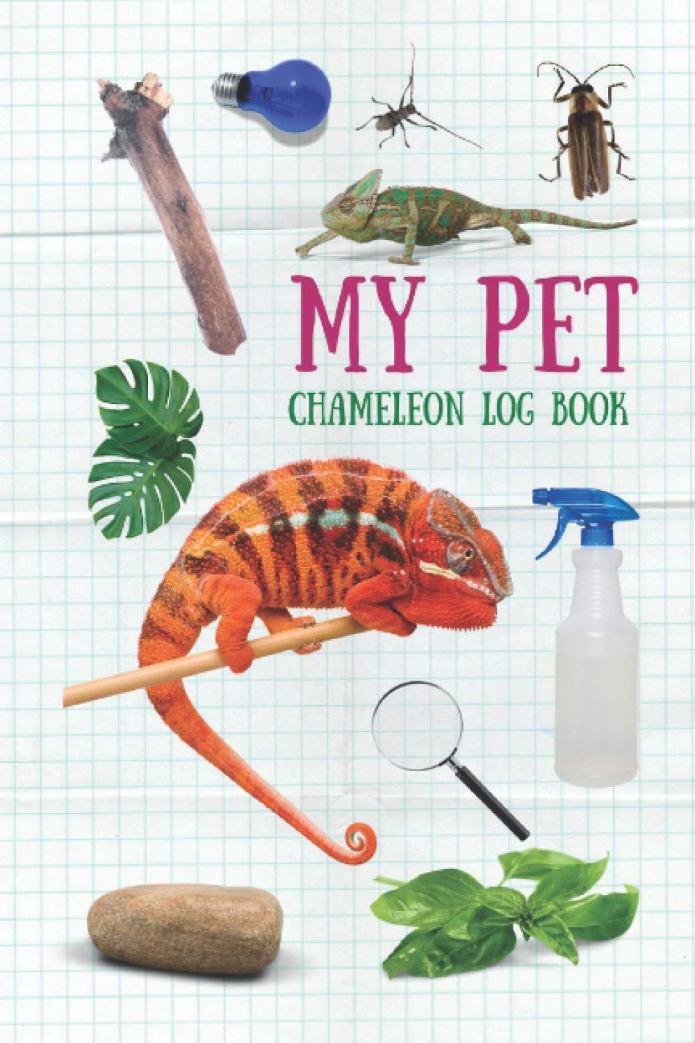 My Pet Chameleon Log Book: Daily care routine for pet chameleon