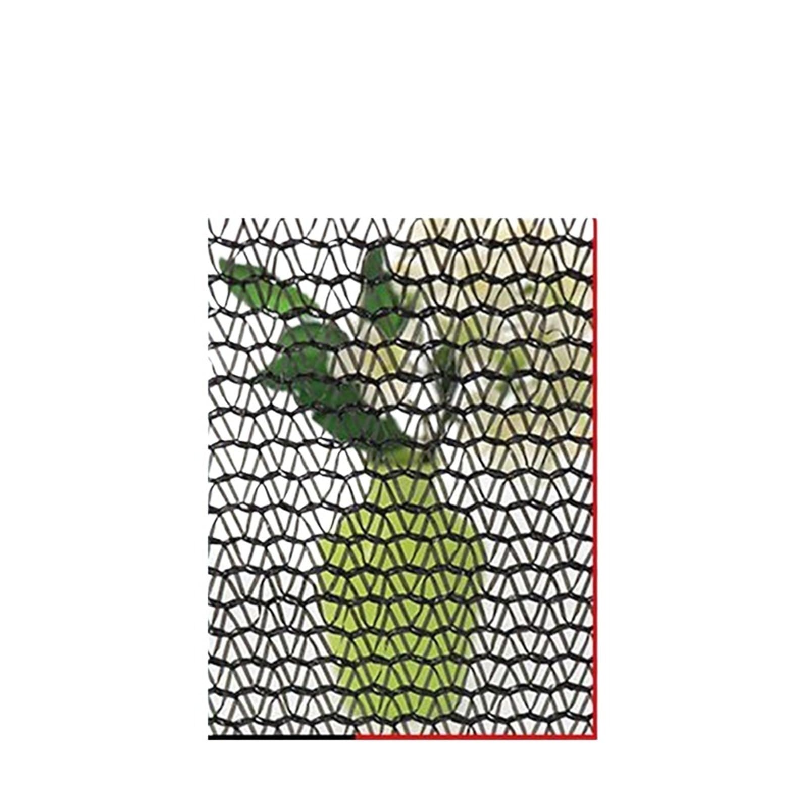 Toile d'ombrage de jardin 4 broches 5x6m pare-soleil mesh pour abri extérieur de plantes