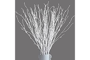 White Twigs Branches for Rustic Decor
