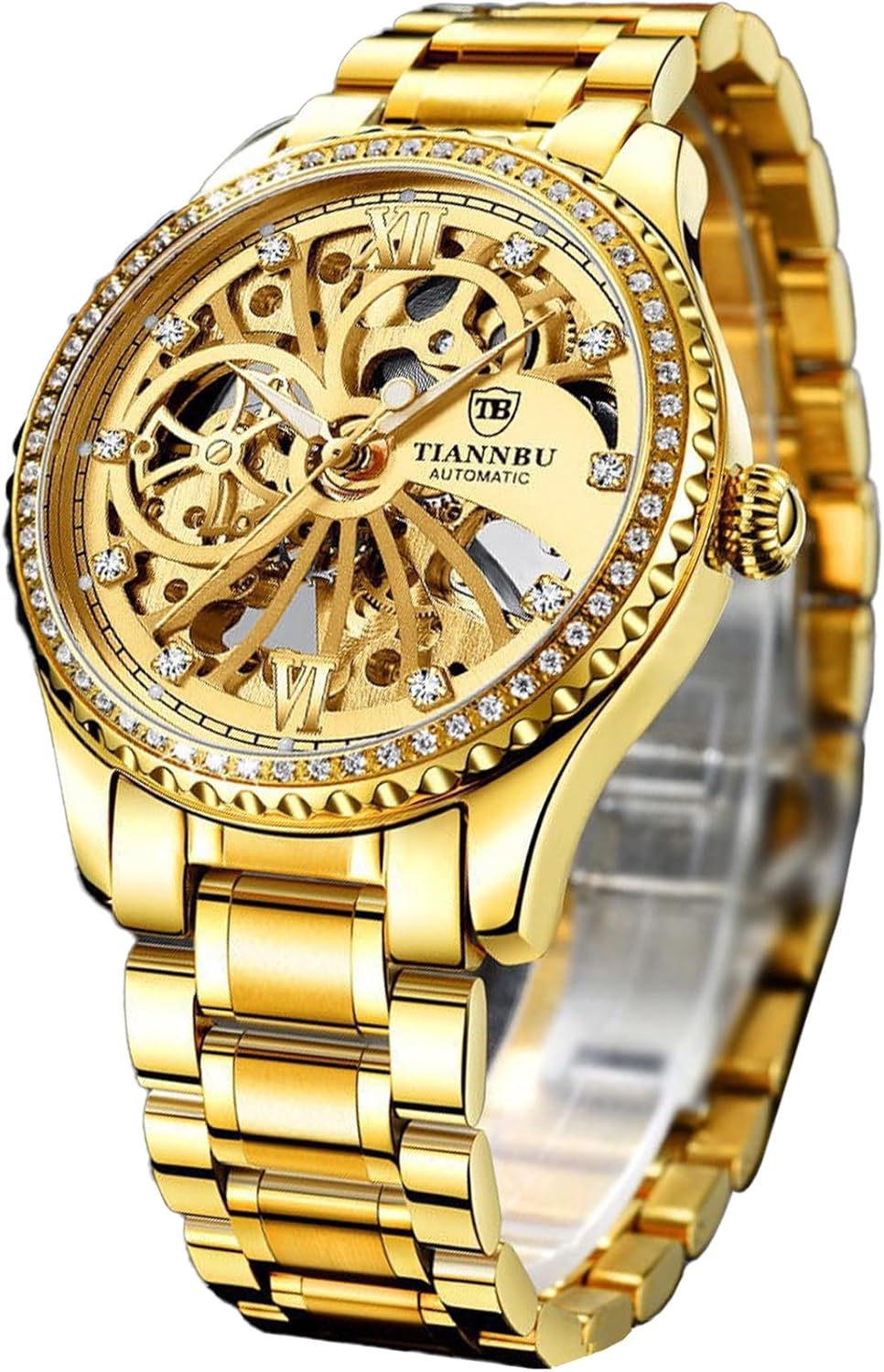 FORSINING Luxury Gold Automatic Mechanical Watch for Men –