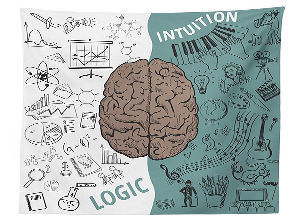diagrama del lado izquierdo del cerebro