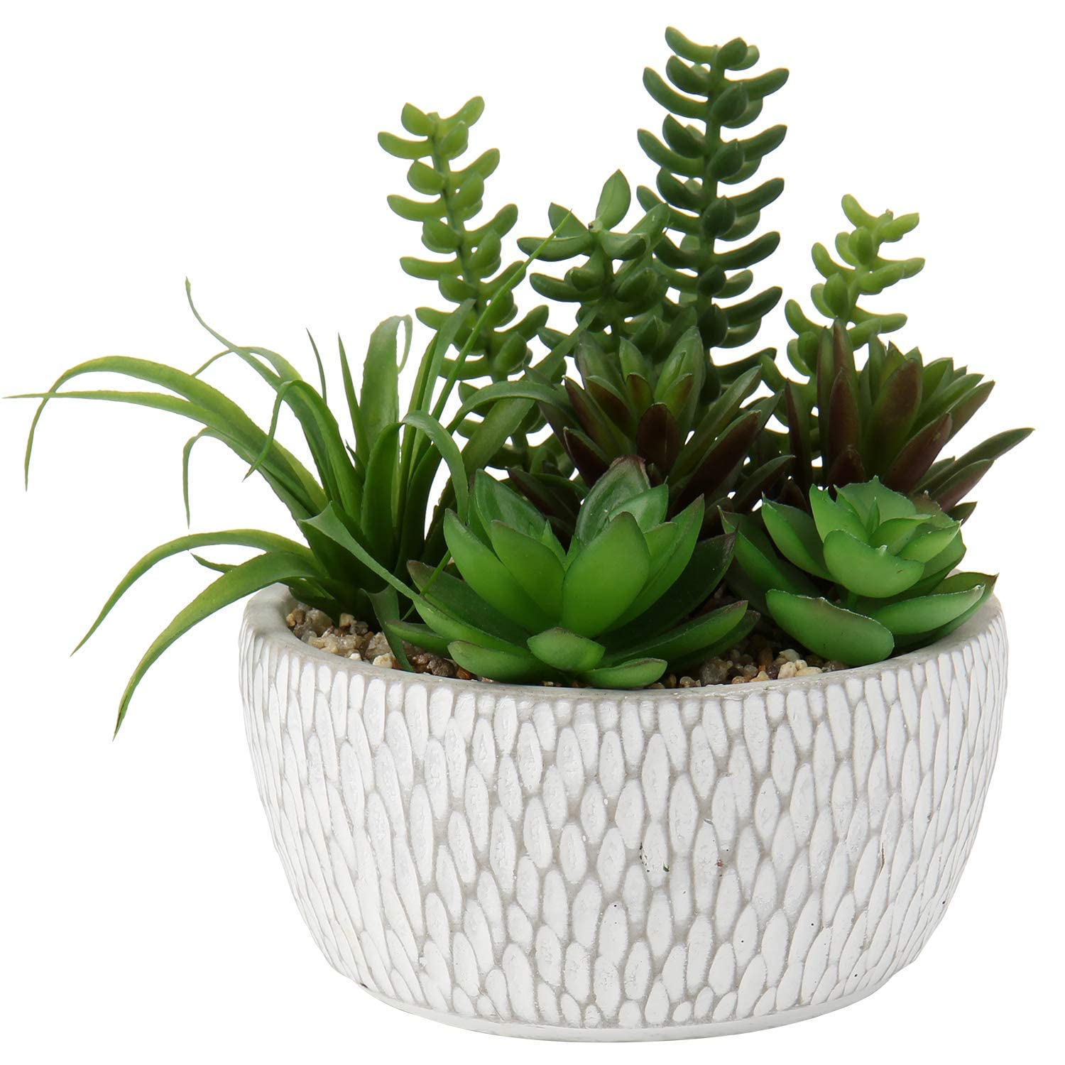 Briful Single Cement Pot Succulent