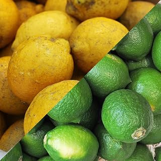 国産 レモン (和歌山県産) ランク：訳あり サイズ不揃い ※ 野菜ソムリエ監修 (1kg)