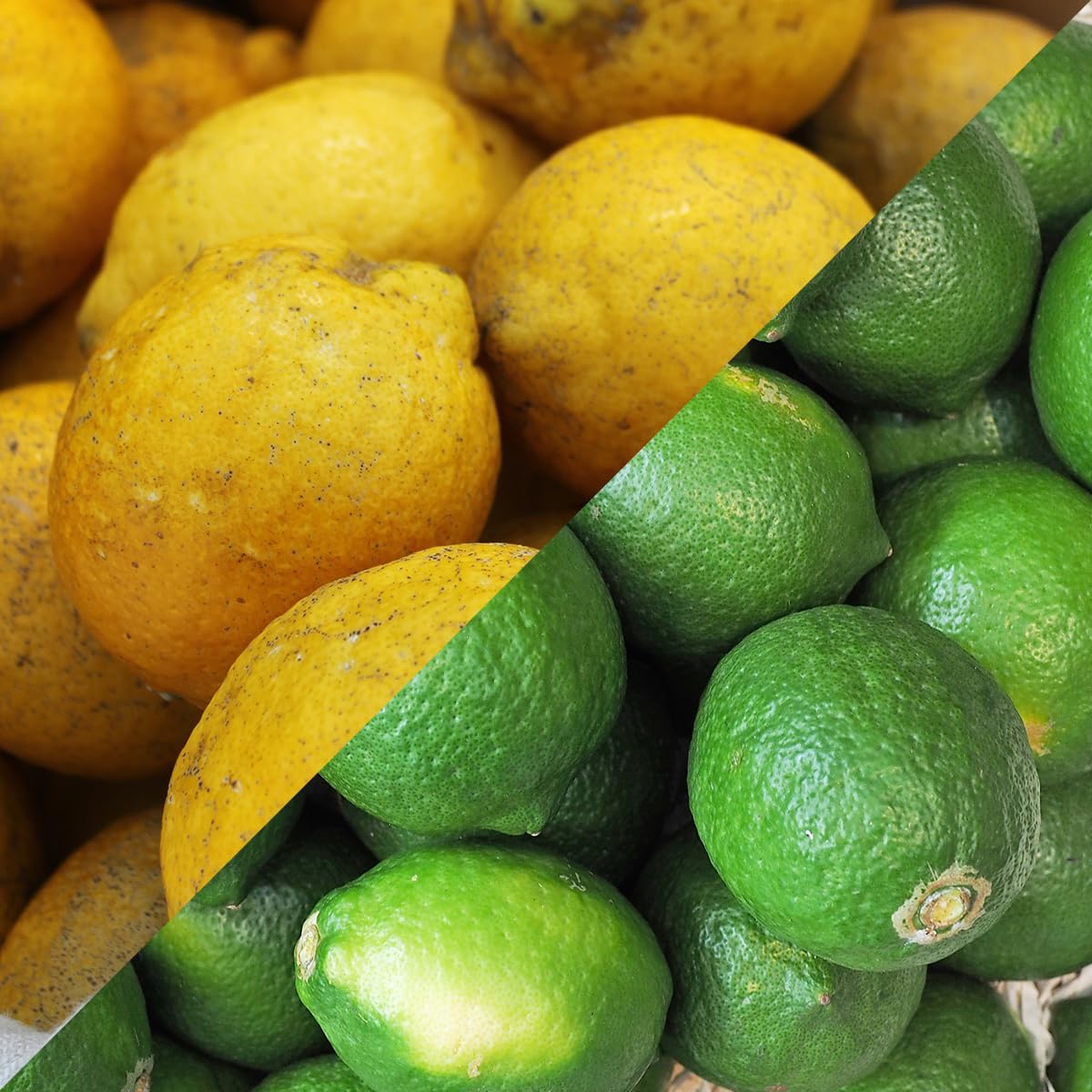 和歌山 レモン 訳あり 30kg 混合 【公式通販】