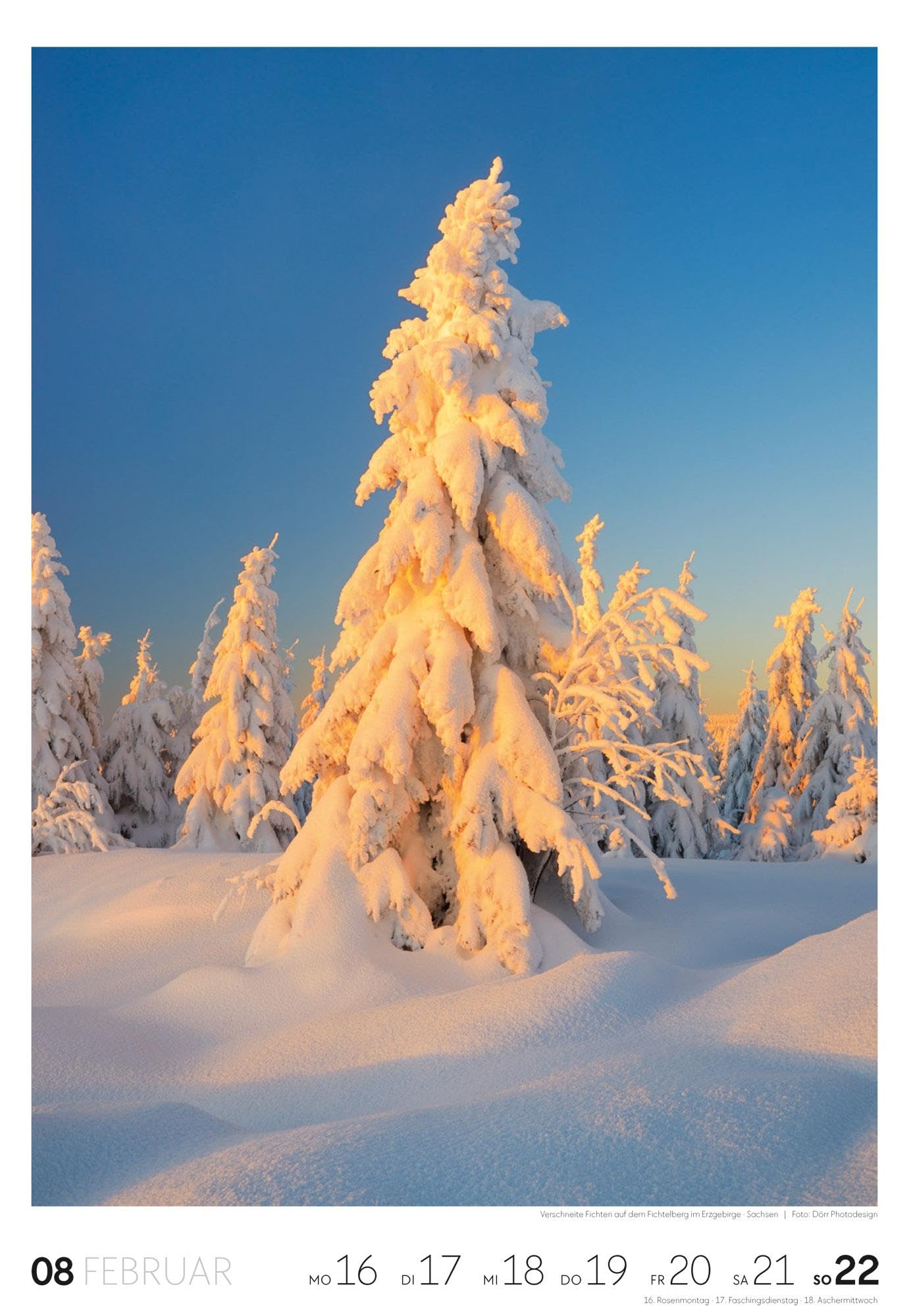 Natur Wochenkalender 2026 | Natur-Kalender mit 53 großformatigen Bildern im Hochformat (29x42 cm) | Heimische Flora und Fauna
