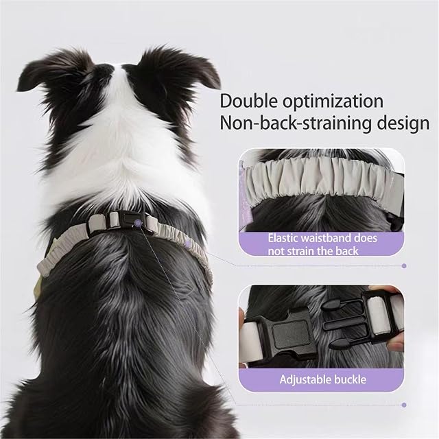Foto 5 de 7 de HAGJII Codera para Perro Y Manga De Soporte para Hombros Eficaz Rodilleras para Perros para El Tratamiento…