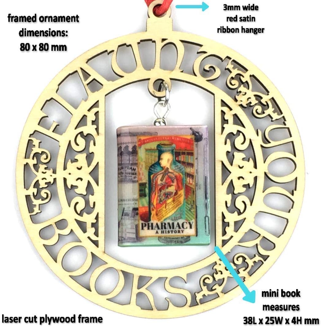 Pharmacy A History Ornament Clay Mini Book Framed Home Wall Decoration Trim Trinket