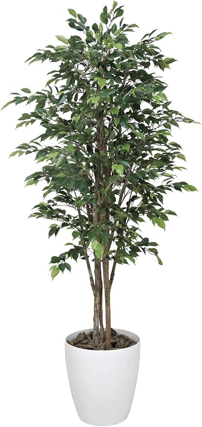 Amazon 造花アート 観葉植物 ロイヤルベンジャミン1 8 誕生日祝い 結婚祝い 結婚記念日 出産祝いに ビジネスフラワー 人工 観葉植物 通販