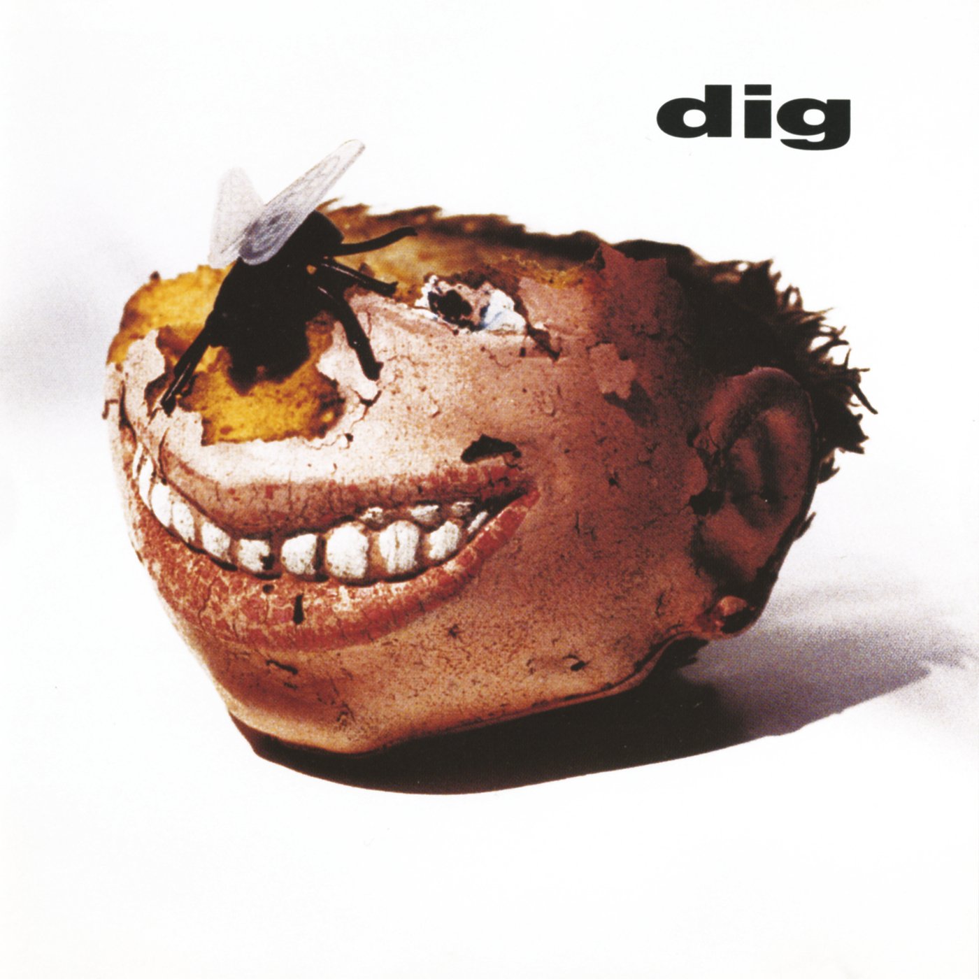 Dig 