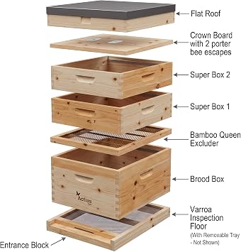 Langstroth Beehive In New Zealand Pine | 2 Supers + 1 Brood, Flat Roof Bee Hive for Beekeeping