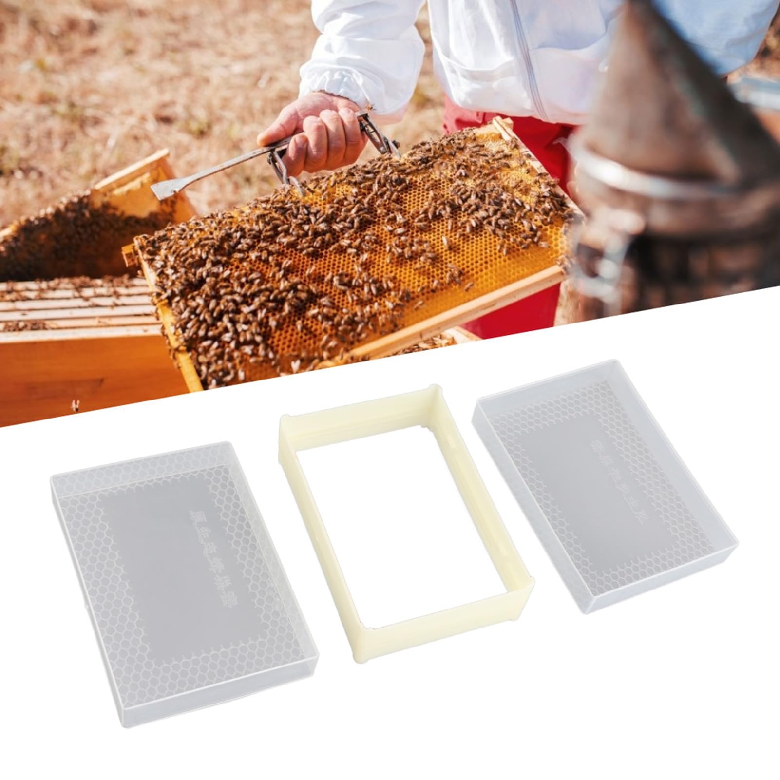 KIMISS Forniture per Apicoltura Scatola per Alveare per Pettine in Plastica per Apicoltura Scatola per Alveare Kit Telaio Attrezzatura per Apicoltore Kit per
