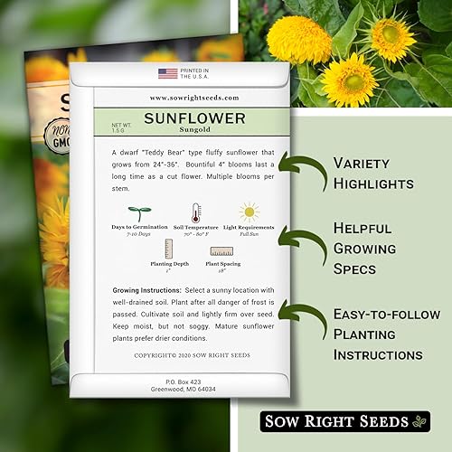 Miniatura 2 de Sow Right Seeds - Semillas de girasol enano Sungold para plantar - Paquete de reliquia sin OMG con instrucciones para cultivar - Variedad corta,