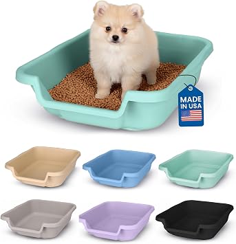 Dog Litter Box, Small Size, Apple Green, for Small Dogs Up to 6 lbs