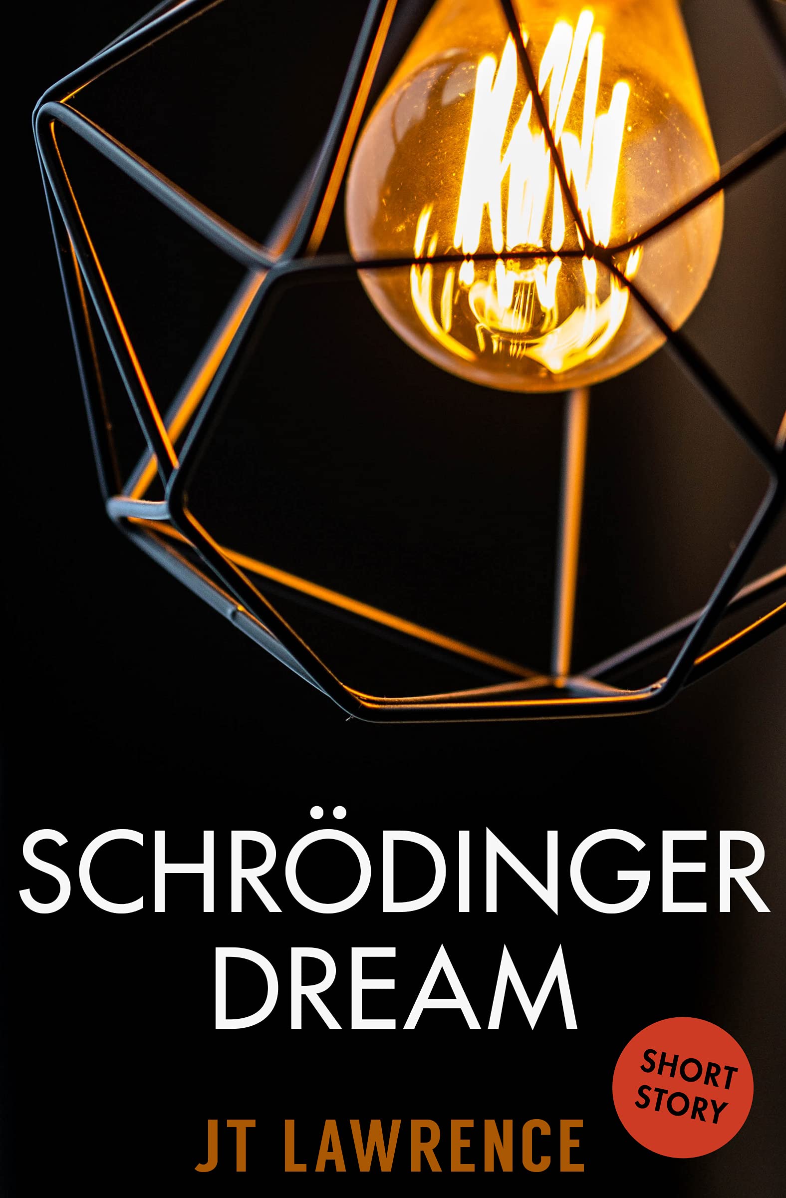 Cover of Schrödinger Dream