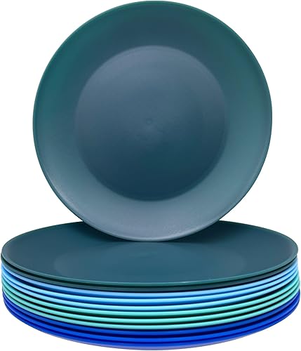 AOYITE Platos de plástico reutilizables, platos de ensalada irrompibles, juego de 12, sin BPA, aptos para microondas y lavavajillas, platos de