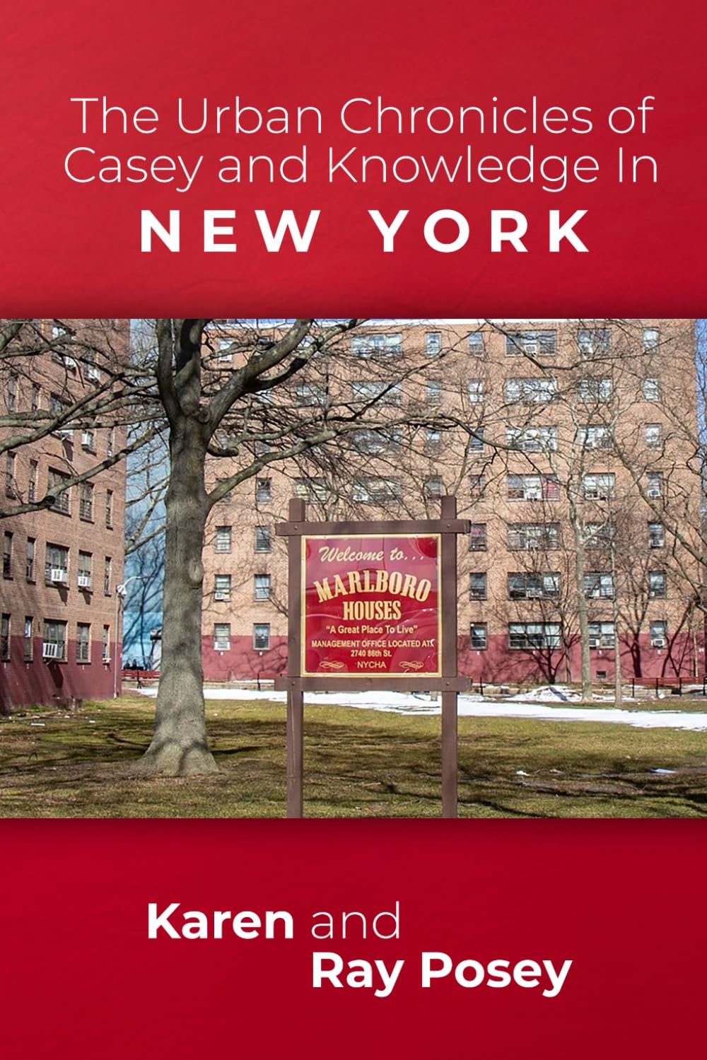 The Urban Chronicles of Casey and Knowledge In New York