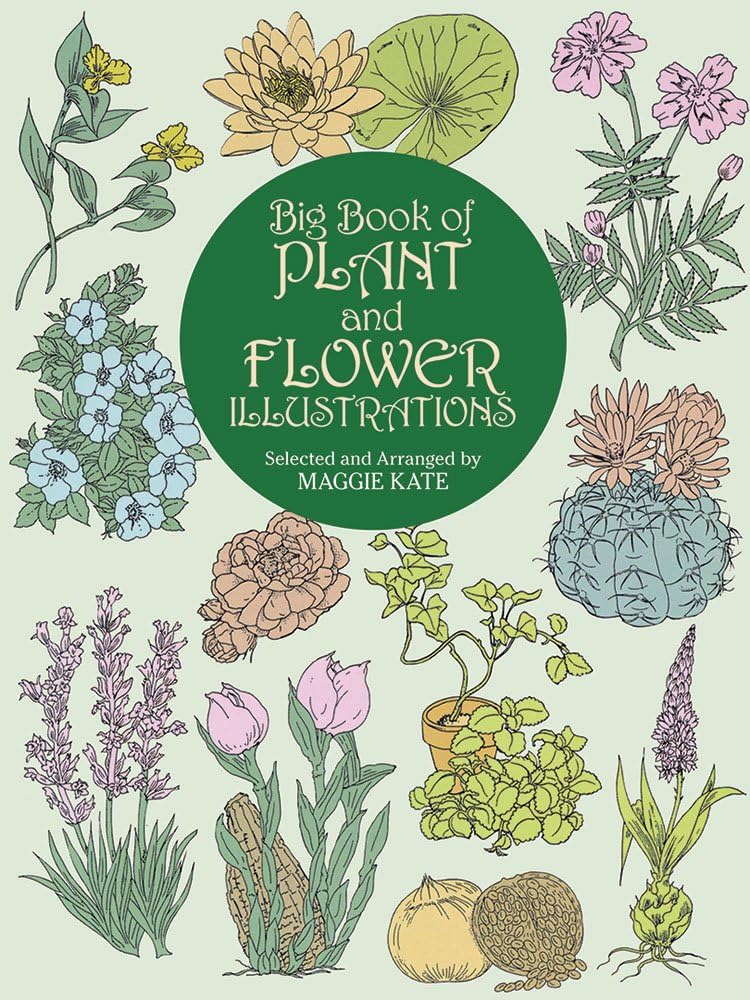 Big Book of Plant and Flower Illustrations (Dover Pictorial Archive) Paperback – April 30, 2000