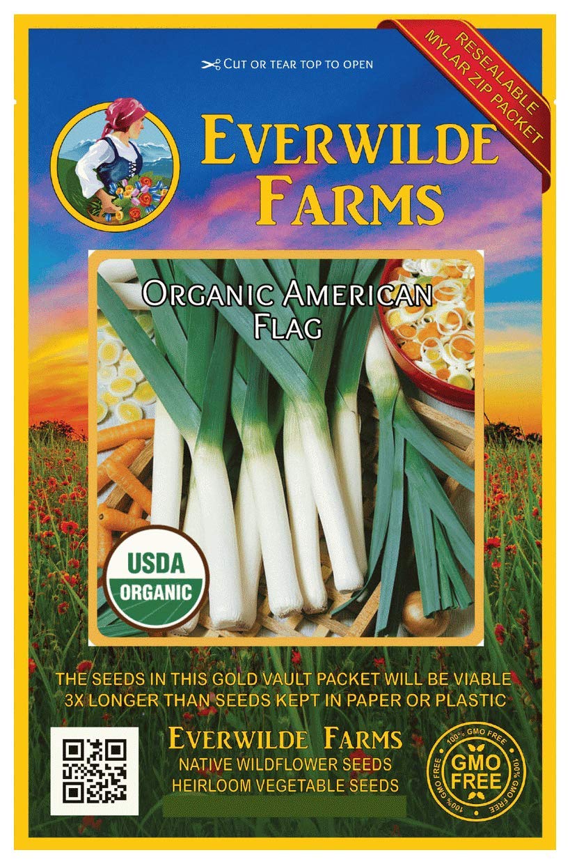 Everwilde Farms - 500 Organic American Flag Leek Seeds - Gold Vault PacketUSDA Organic