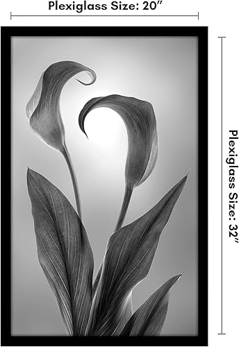 Vista 325 de Americanflat - Marco para póster de 71 x 74 cm con plexiglás pulido, portarretratos negro de madera industrializada, Epic Collection, marco ancho