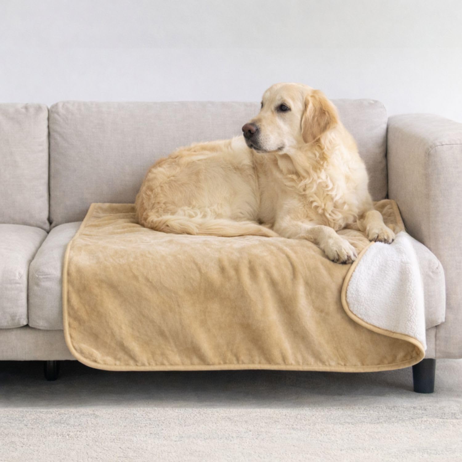 Dreamzie - Waterproof Dog Blanket 80 x 100 cm - Reversible and Washable Dog Blanket - for Sofa and Bed - for Small Dogs - Sherpa - Beige OEKO-TEX STANDARD 100