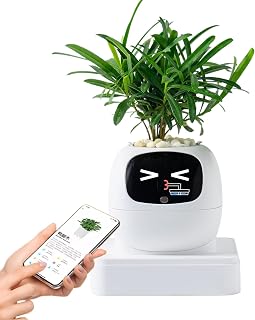 Smart Flower Pot Intelligent AI Pet Multiple Expressions Planter | Pothos Flowerpot for Indoor Apartment Office Living Room Bedroom Balcony Patio Beginners Birthday Valentine's Day Mother's