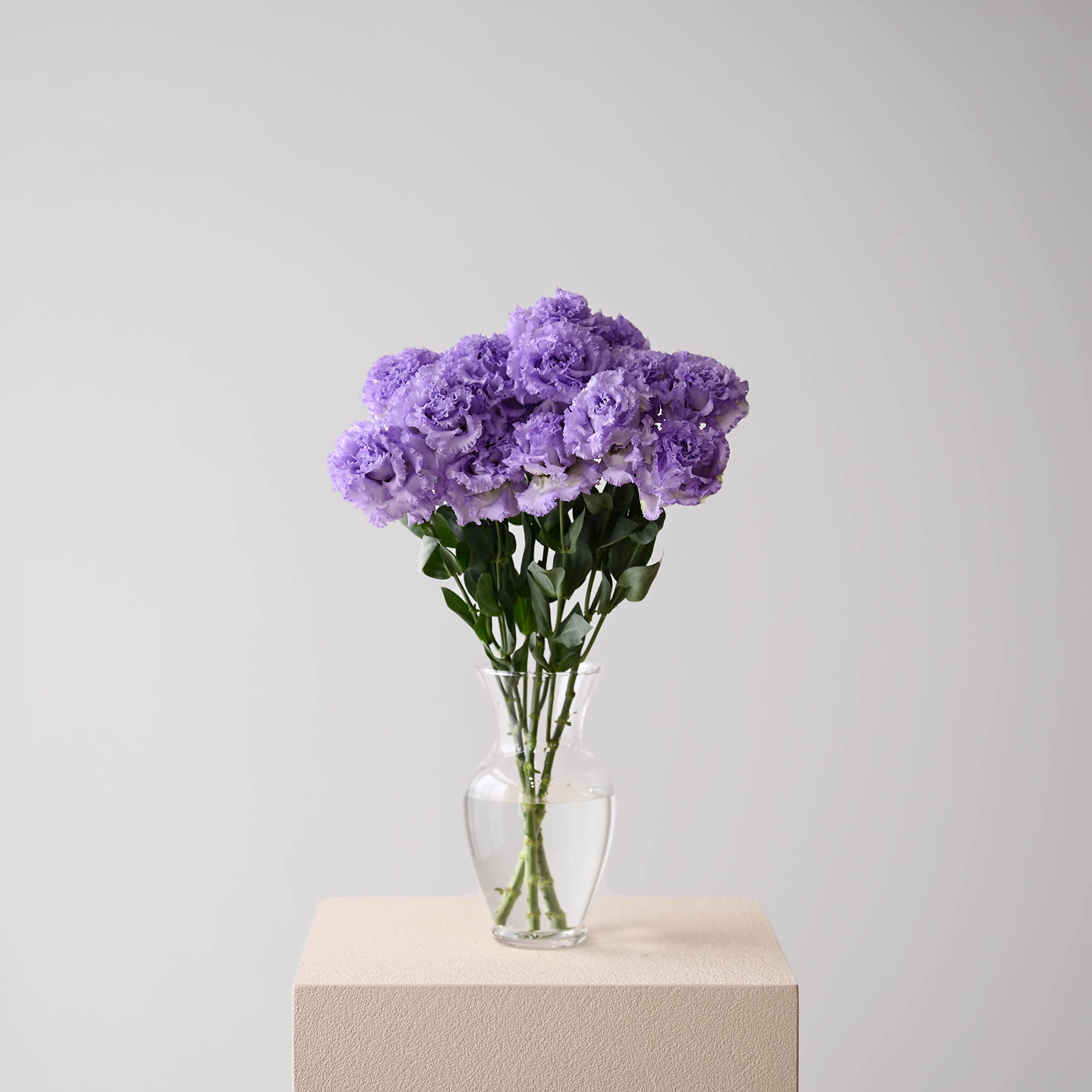 Amazon｜ハナプロ(HANAPRO) トルコキキョウ 生花 花束 レギュラー 花の