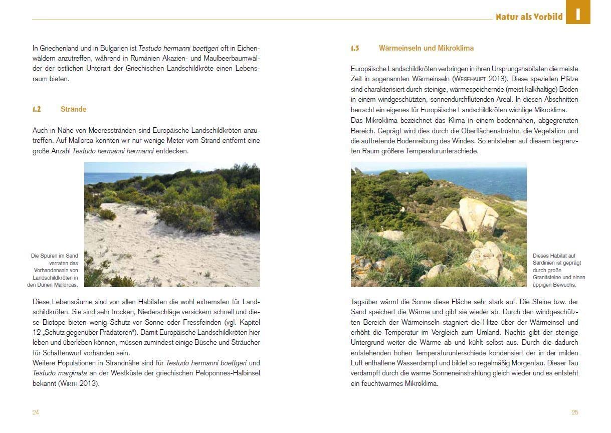 Freigehege für Europäische Landschildkröten: Ein Leitfaden für eine naturnahe Haltung im eigenen Garten (Ratgeber zur Haltung Europäischer Landschildkröten)