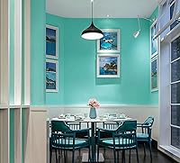 Vista 308 de Dimoon 236''x17.7'' White Thicken Peel and Stick Wallpaper Contact Paper Modern Self Adhesive Wall Paper Removable Renter Friendly Textured Solid