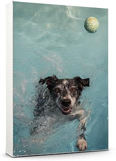 Australian Stumpy Tail Cattle Dog Swimming Canvas Wall Art – Playful Pet Portrait Playing with Ball – Personalized Gift for Dog Lovers, Pet Owners, Birthday or Home Décor, Christmas 5QRzuM