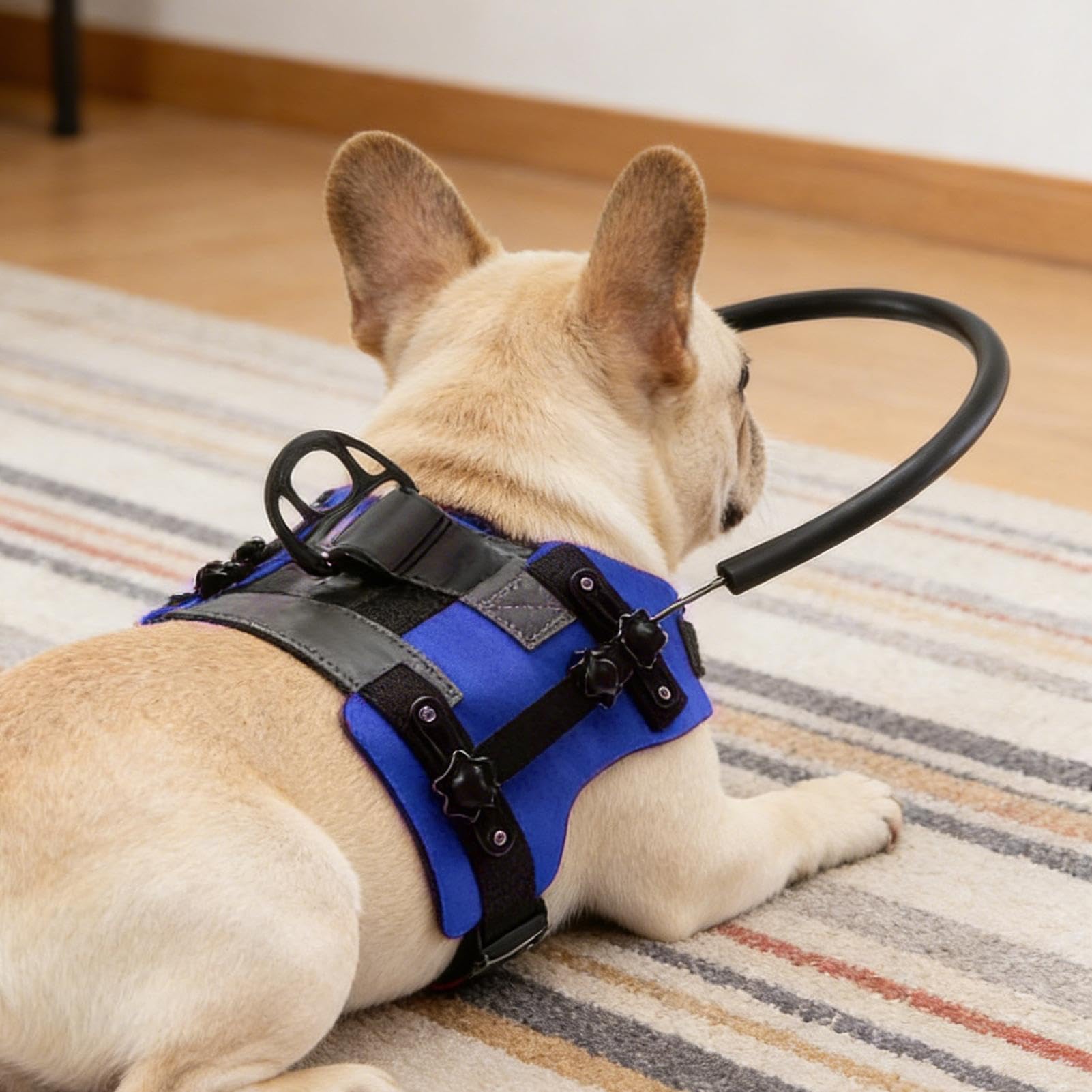 Schutzgeschirr für blinde Hunde Reflektierendes Orientierungsgeschirr für