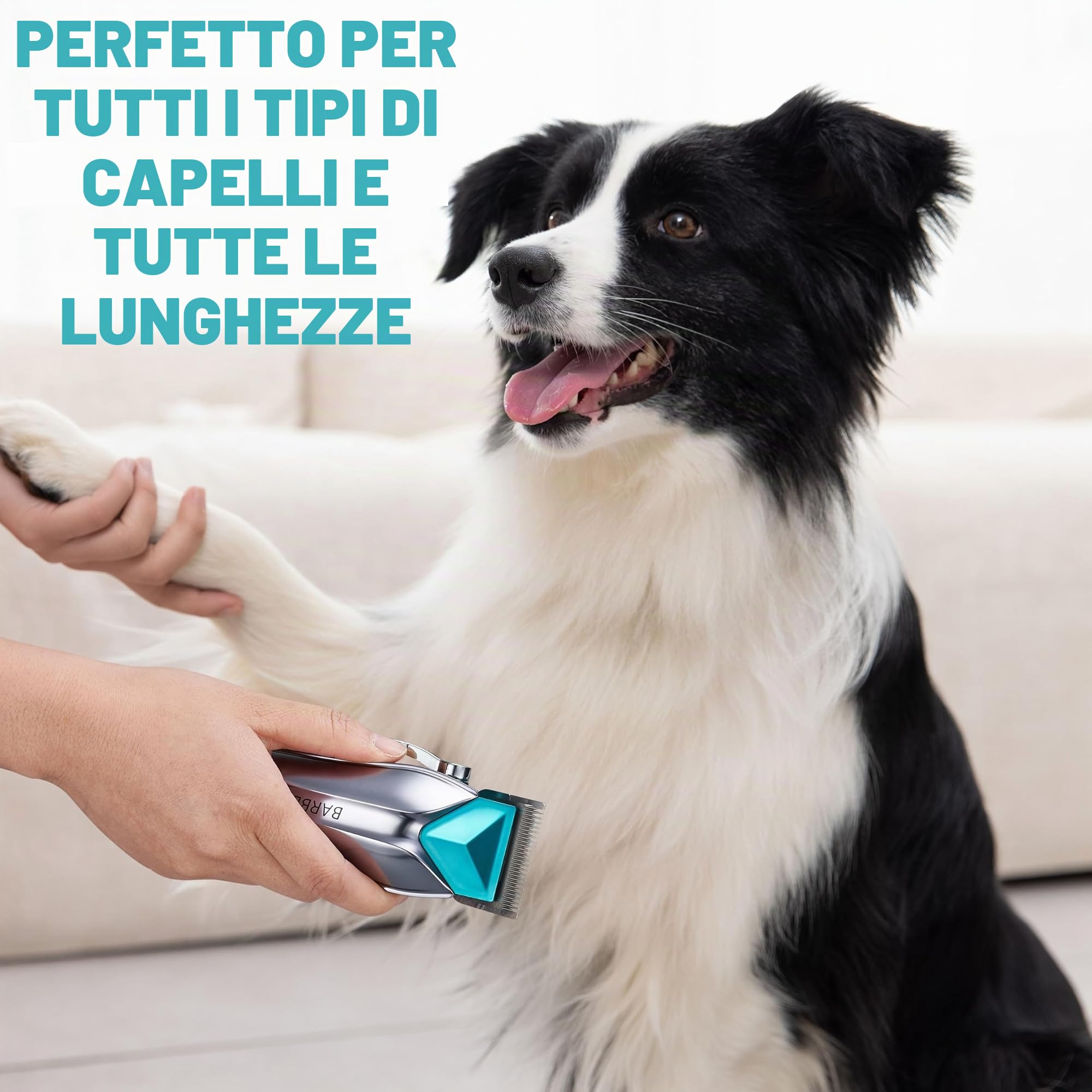 BarberBoss tosatrice per cani senza fili, tosatrice per cani, Kit per toelettatura cani, tosatrice per gatti per pelo arruffato, Kit per toelettatura animali, tosatrice per animali QR-9088