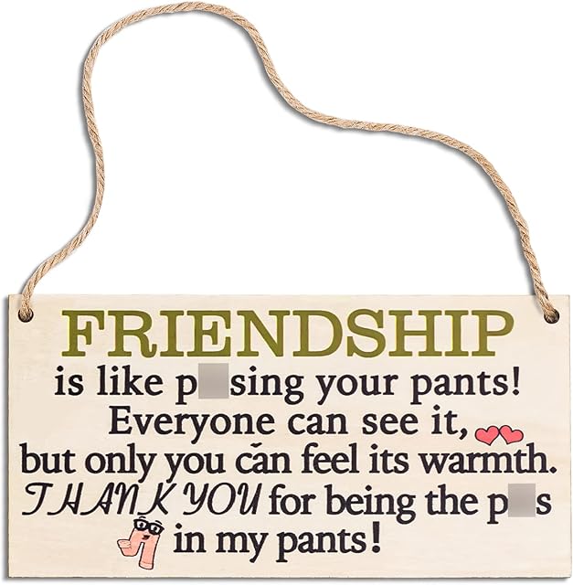 WOLE Friend Gifts Funny Best Friends for Friendship Bff Female Friends Xmas Present for Special Friends Women Friends Birthday Friends Colleagues Female Friends Wooden Quote