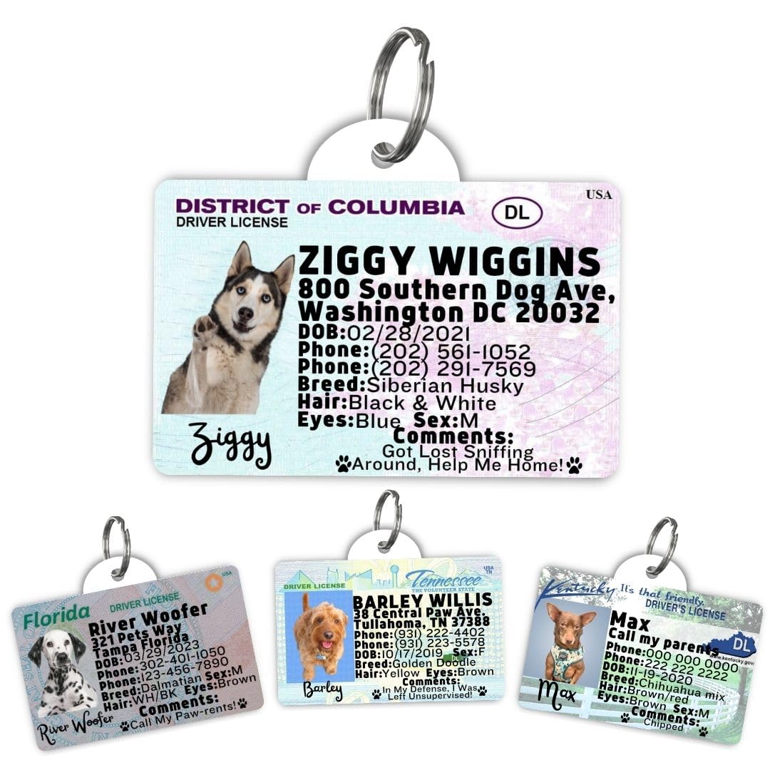Driver License Custom Dog Tag for Pets and Wallet Card - Dog Tags for Dogs - Dog ID Tag - Personalized Dog ID Tags - Cat ID Tags - Pet ID Tags for Cats - Personalized Pet ID Tags (DC, Tag)