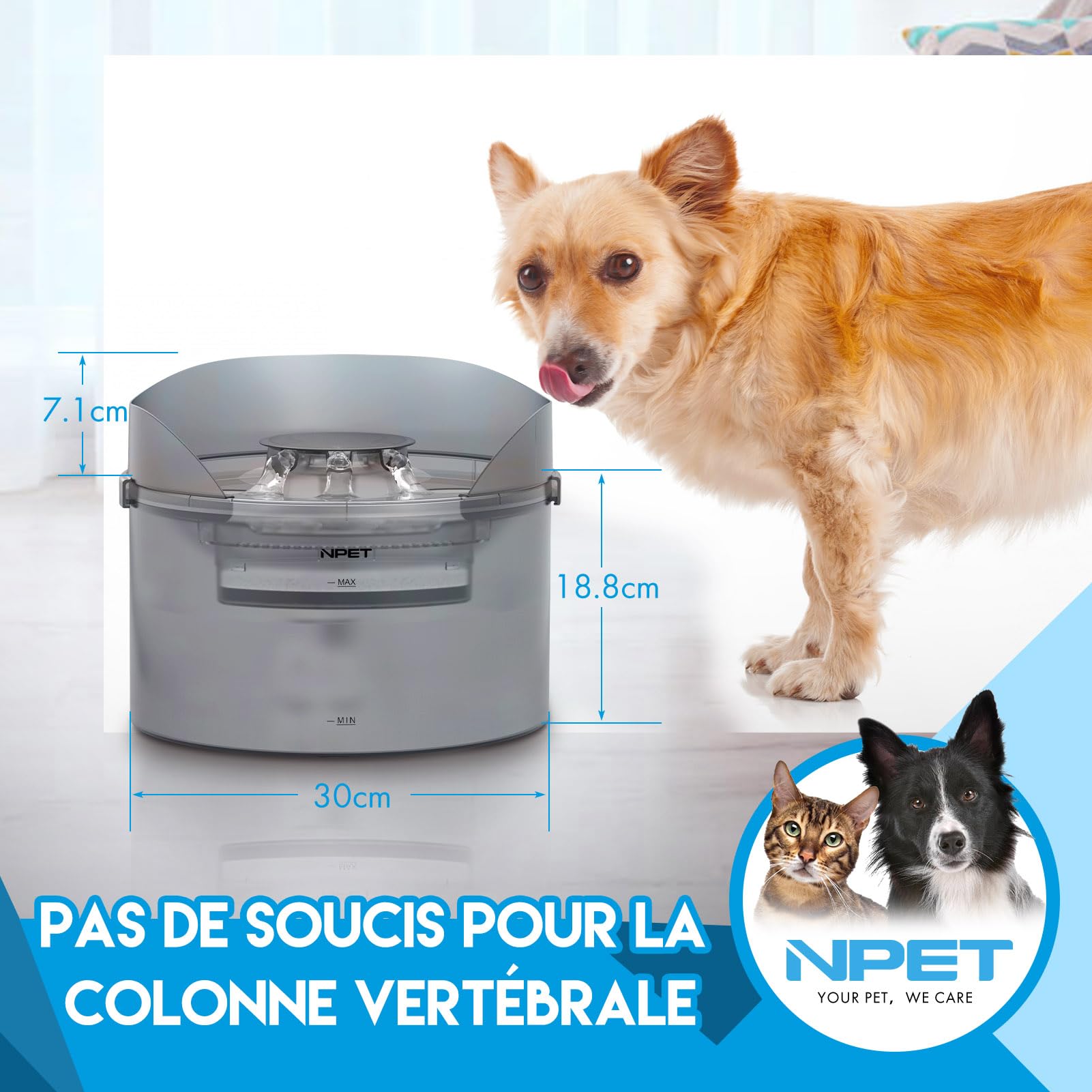 NPET Fontaine à Eau Chien, Fontaine à Eau pour Chien Automatique avec Protection Anti-éclaboussures, 8L, pour Chien&Chat, DF30
