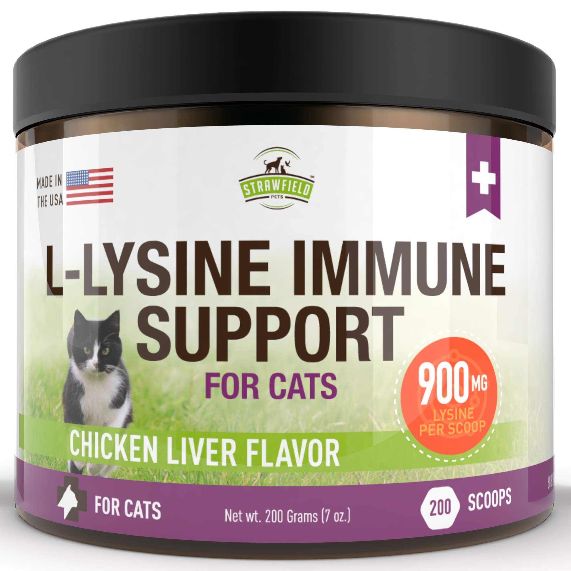 kitten vitamin supplement