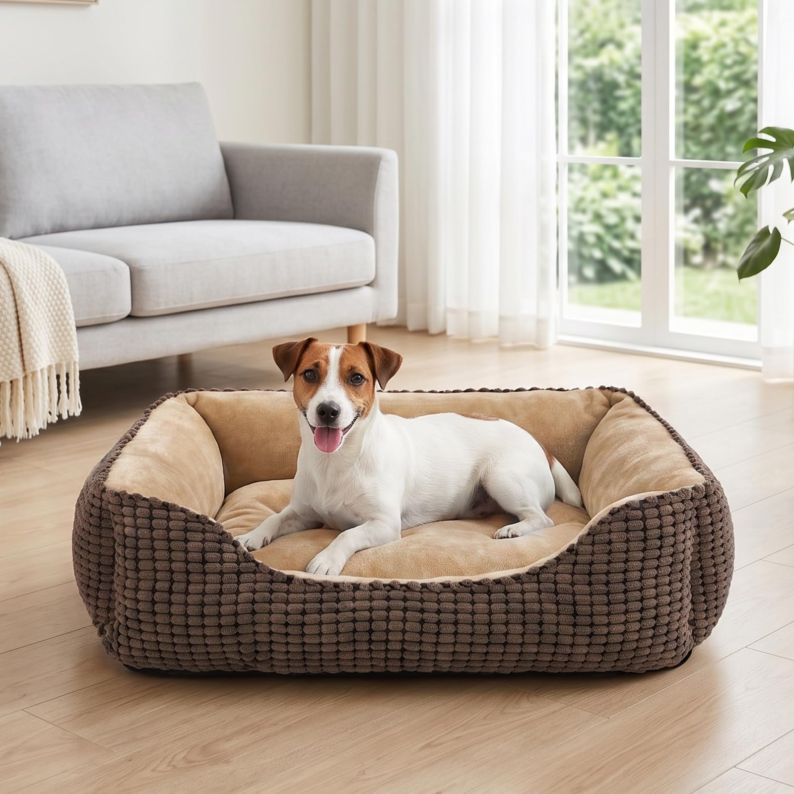JOEJOY Cuccia Cane Interno Media, Cuccia per Cani Lavabile, 63x53x20cm | Cuccia Cane Anti-Ansia & Supporto, Antiscivolo Lavabile, Soffice, Flanella Morbida & Velluto a Coste Traspirante Durevole