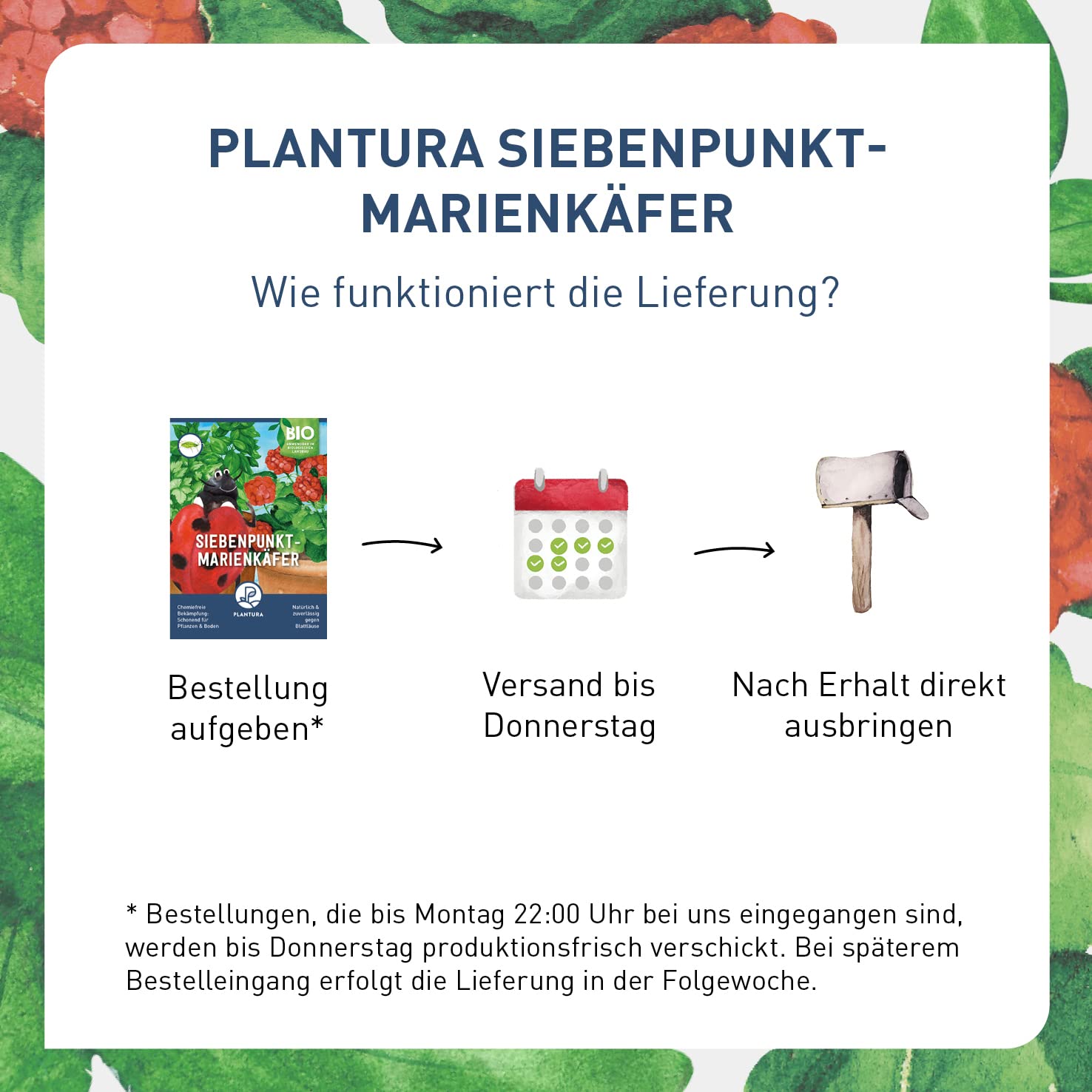 Plantura Siebenpunkt-Marienkäfer gegen Blattläuse, wirksam & nachhaltig, 10 Nützlinge