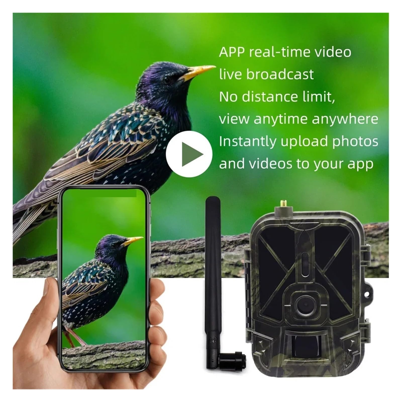 4G HD Wideo Na Żywo Bateria Litowa Komórkowa Kamera Obserwacyjna 50MP 4K Bezprzewodowa Aplikacja Do Gier Usługa W Chmurze Wodoodporna IP66 Wildlife Cam WyraźNe Obrazy I Filmy