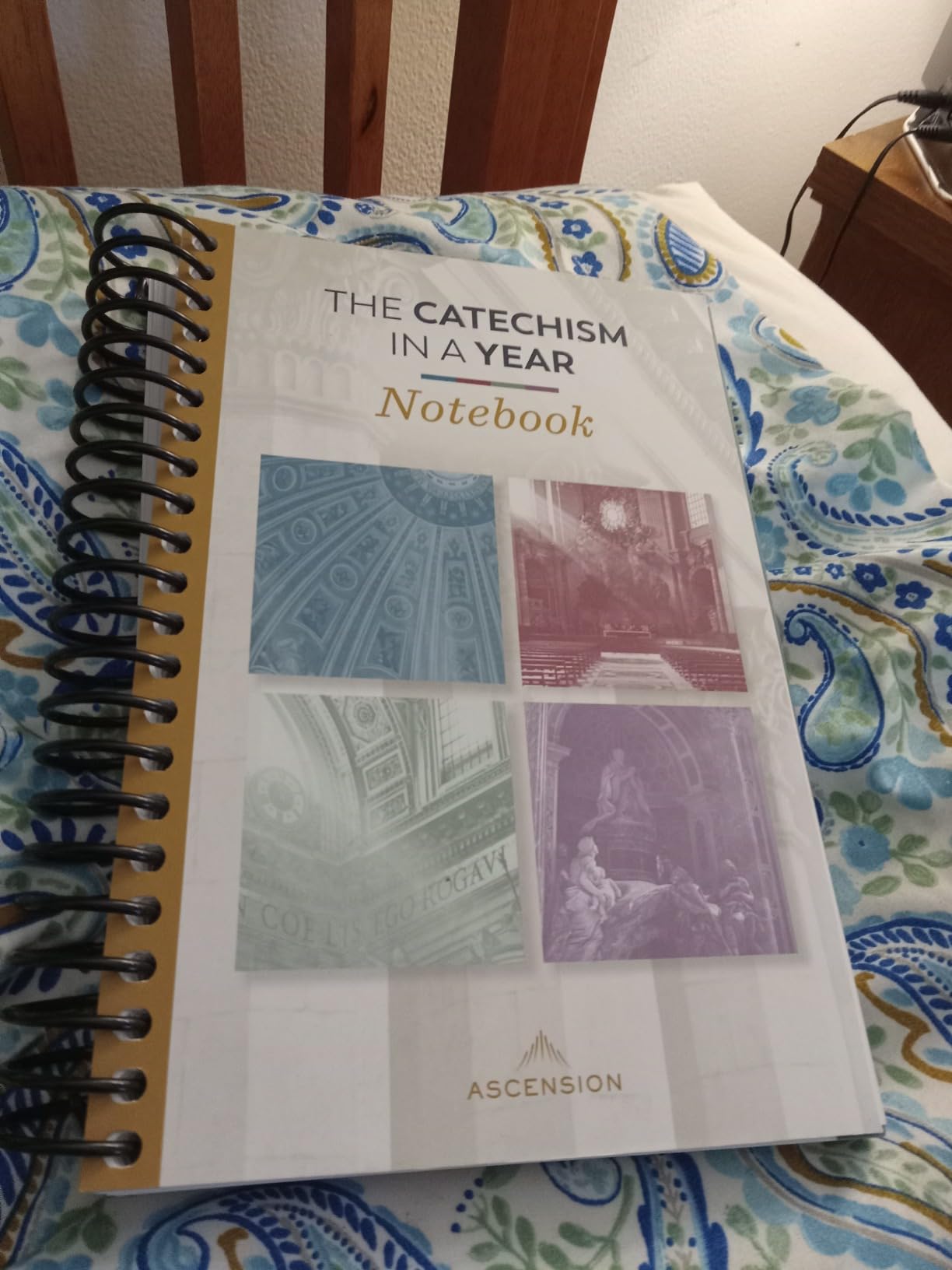 The Catechism in a Year Notebook : Ascension Press: Amazon.com.au: Books
