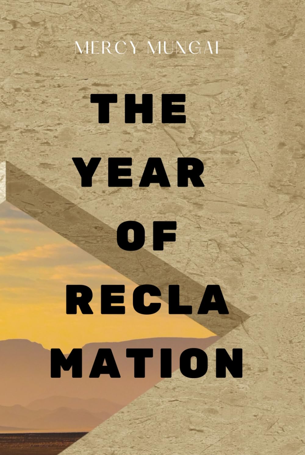 The Year of Reclamation: Discovering Who You Are When God Reclaims Your Identity