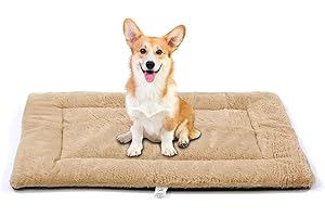 Coziness Unleashed: Dog Kennel Mats for Ideal Crate Comfort