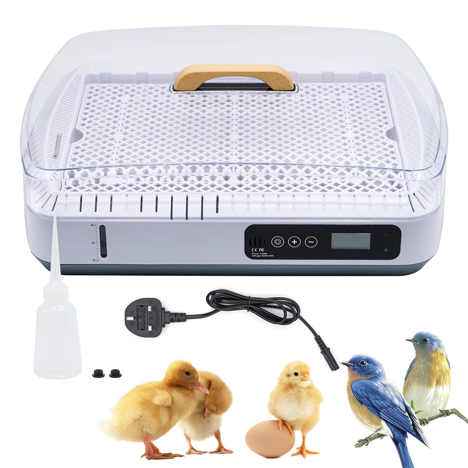 Buy Svauoumu 35 Eggs Incubator,Laboratory Incubator,Incubator with