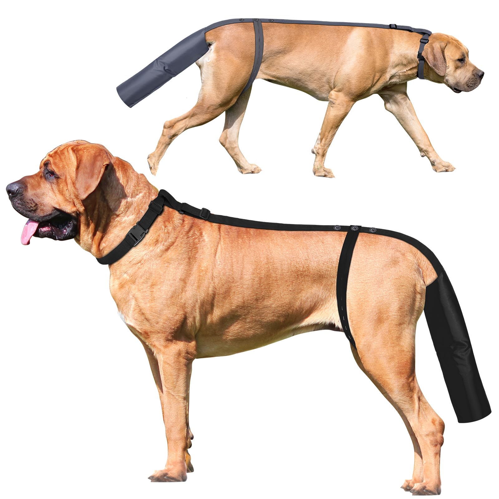 Photo 1 of 2 Pieces Dog Tail Protector Cover for Wounds, Dogs Tails Heal Sleeve, Dog Wound Care for Medium and Large Dogs to Assist in Recovery from Injury, Tail Size?L 14.9-16.5", Diameter 4.7-5.3"?