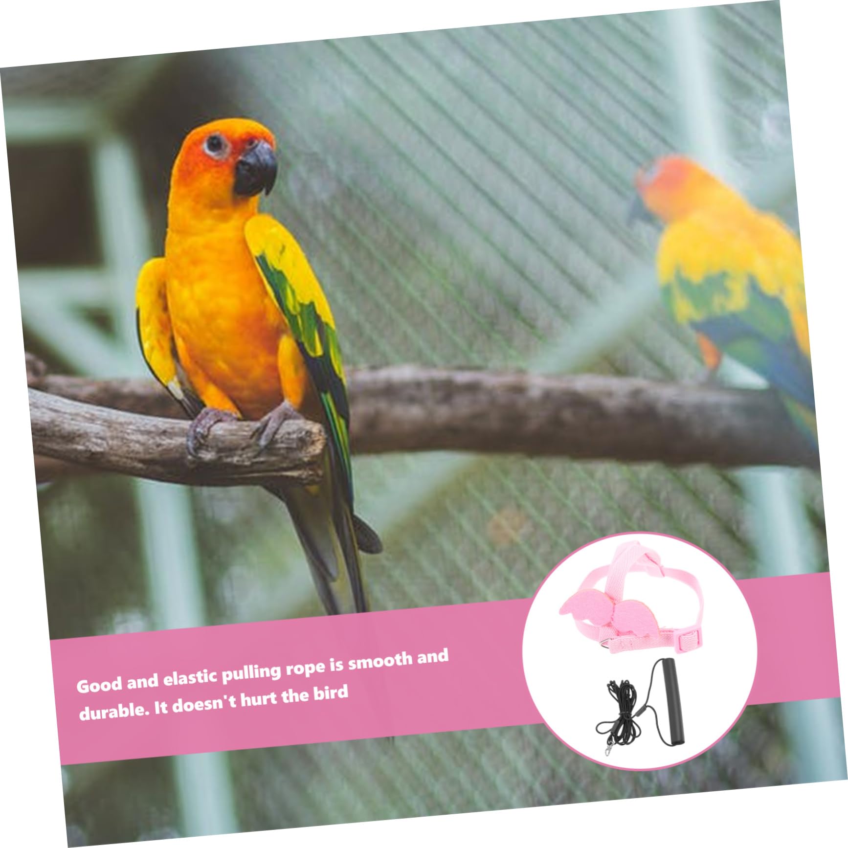 BESPORTBLE Elastic Parrot Flying Rope Leash Harness Bird Harness and Leash for Training Bird Fly Train Tool Comfortable Design