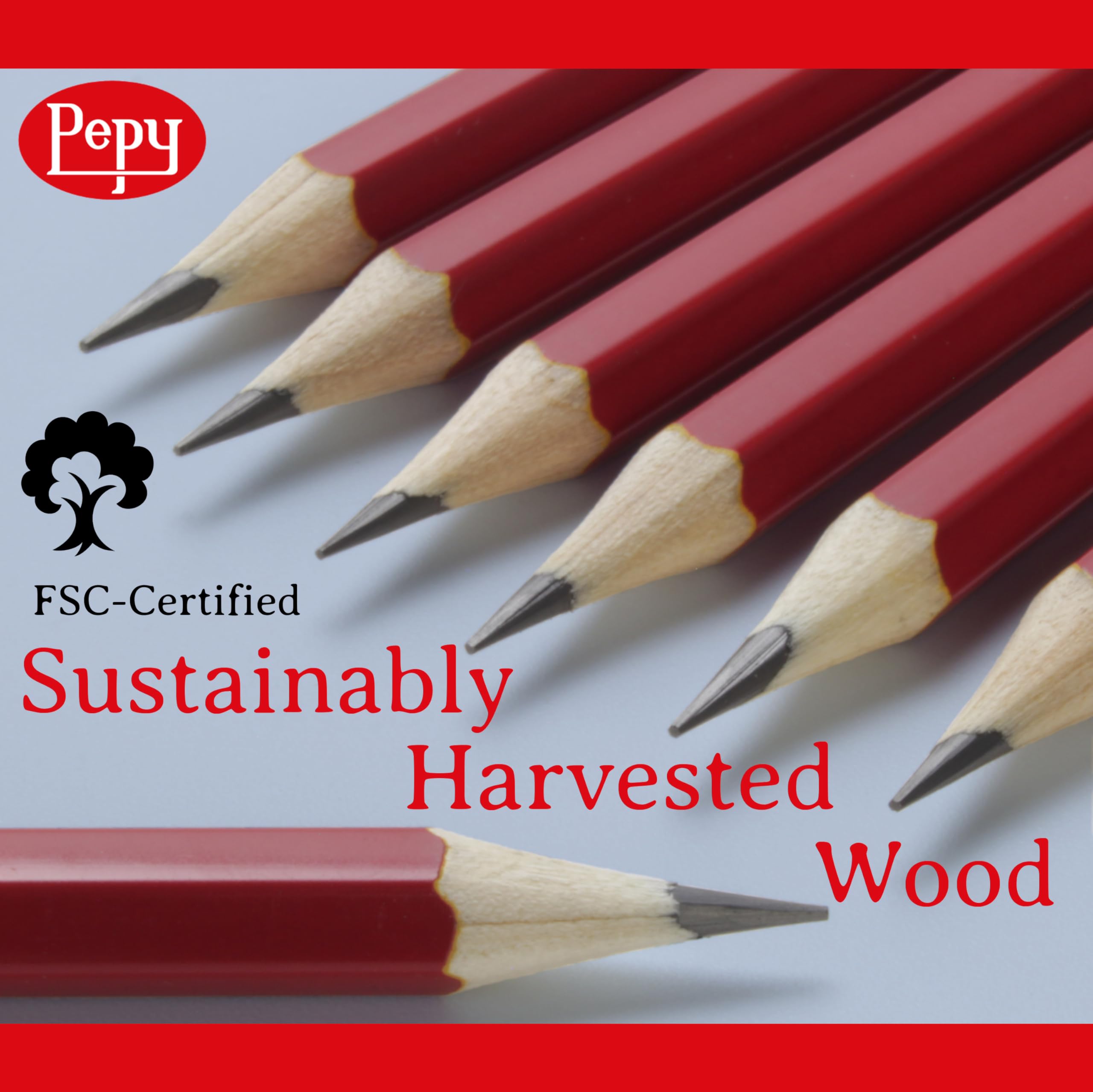 Pepy Aero Graphite - Lápices de dibujo profesionales, suministros de arte, juego de 12 lápices de mina negra preafilados, perfectos para dibujar, dibujar y sombrear, gráficos y bellas artes