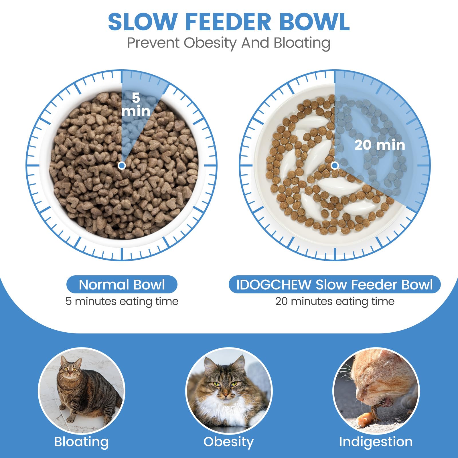 Comedero Lento de Cerámica para Gatos – Cuenco Elevado Antivómitos (8 cm), Diseño Interactivo para Comer Más Despacio, Fácil de Limpiar y con Borde Antiderrames