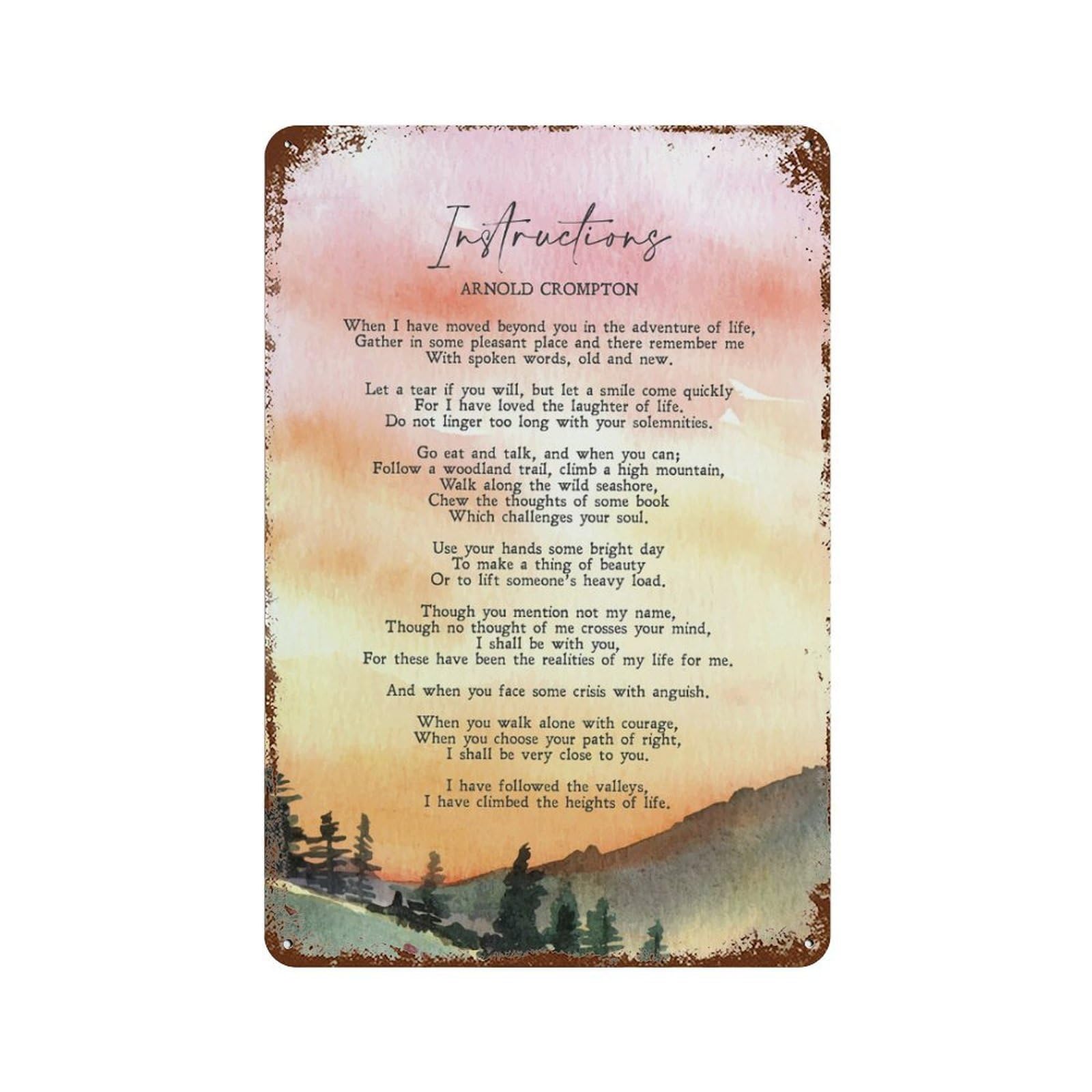xiaoxiaoshen Quote Instructions Wall Decor Art Metal Tin Poster Modern Home Decor Art Home Bar Shop Decorations Vintage Sign 30x20cm