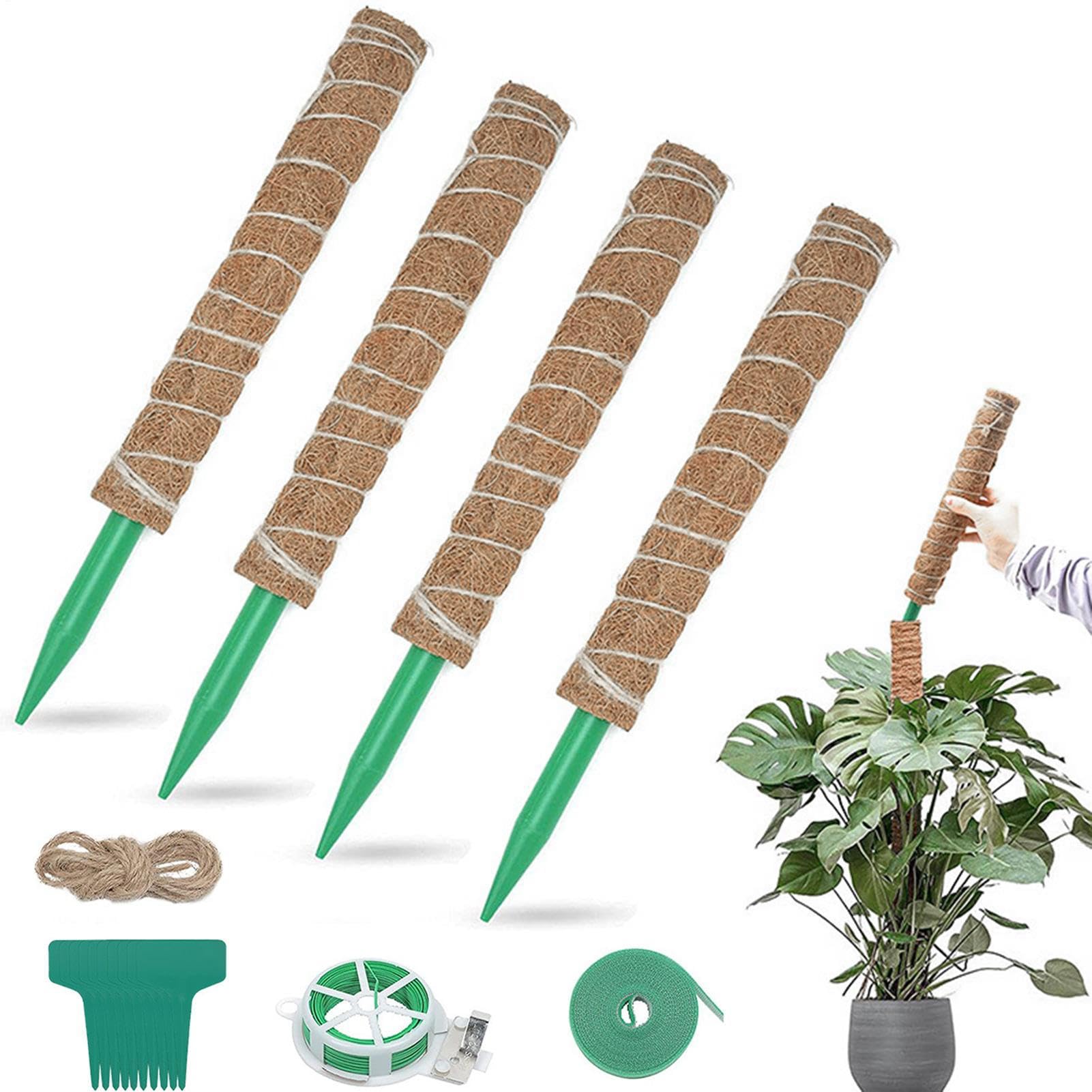 Moosstäbe Für Kletterpflanzen 4 Stück 40cm Natürliche Rankstäbe | Monstera Rankhilfe Pflanzenstütze Aus Stäben Für Efeu Wohnung Büro Balkon Garten Terrasse Gartenarbeit