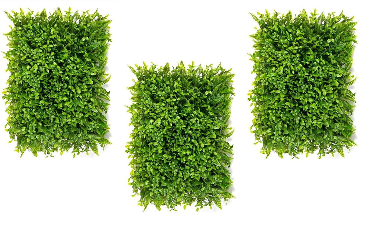 See full amazon price history chart for Golden Cart Artificial Wall Grass for Home Decoration (3 Pcs) I Grass Mat for Wall I Vertical Garden Artificial Wall Plants (Natural Green, 60cm X 40cm X 8cm, Pack of 3) Golden Cart Artificial Wall Grass for Home Decoration (3 Pcs) I Grass Mat for Wall I Vertical Garden Artificial Wall Plants (Natural Green, 60cm X 40cm X 8cm, Pack of 3) (B099P7F9C4) Amazon Price History, Amazon Price Tracker